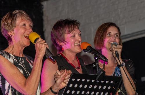 Toonmoment en karaoke avond 2019.