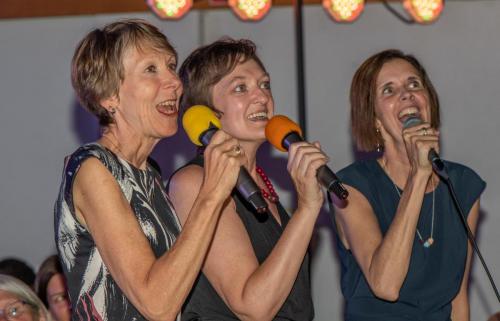 Toonmoment en karaoke avond 2019.